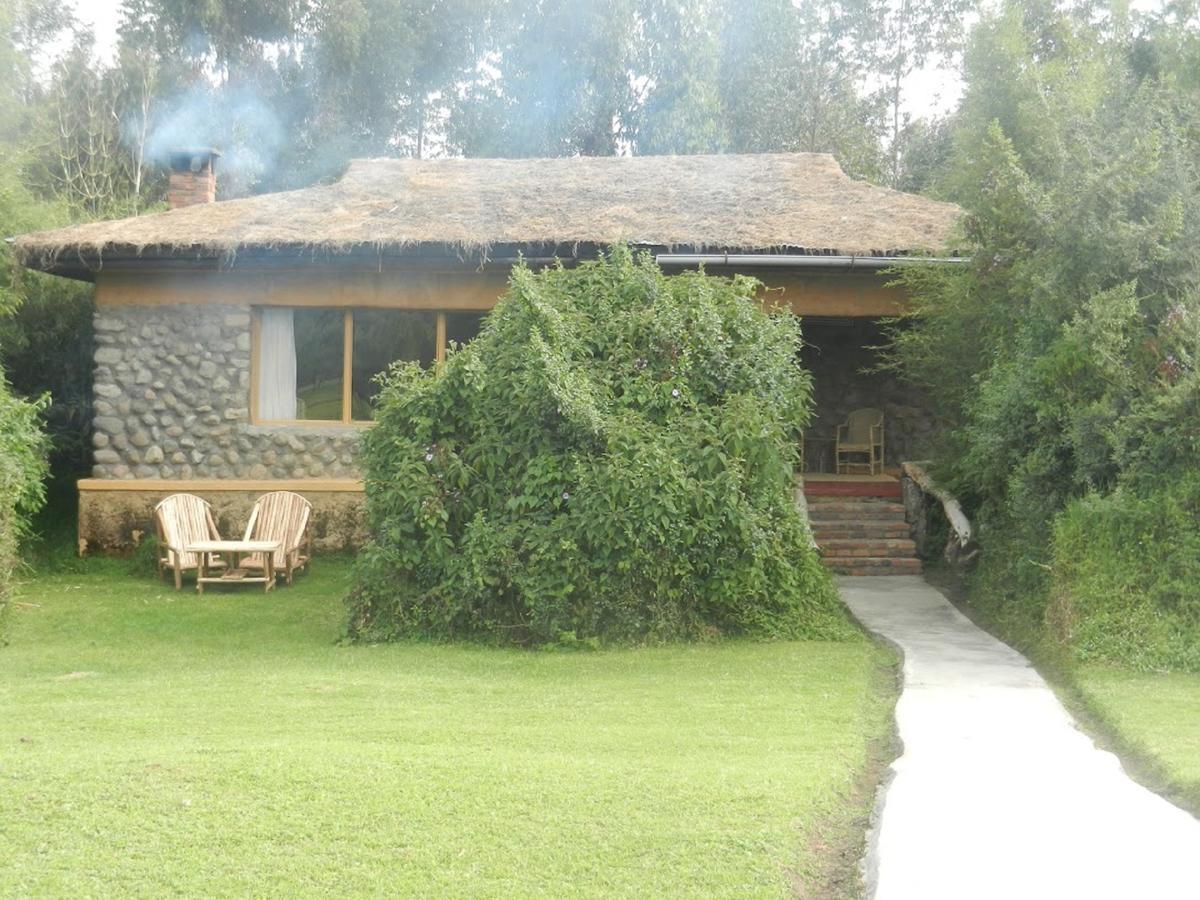 Mountain Gorilla View Lodge Musanze ภายนอก รูปภาพ
